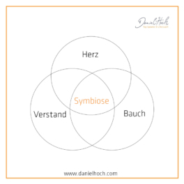 herz-bauch-verstand