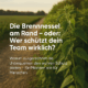 Die Brennnessel am Rand