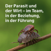 Der Parasit und der Wirt